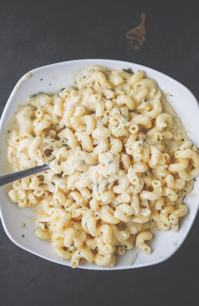 Italian Pastas and Burgers: A Food Lover’s Paradise at Bibinagar"  